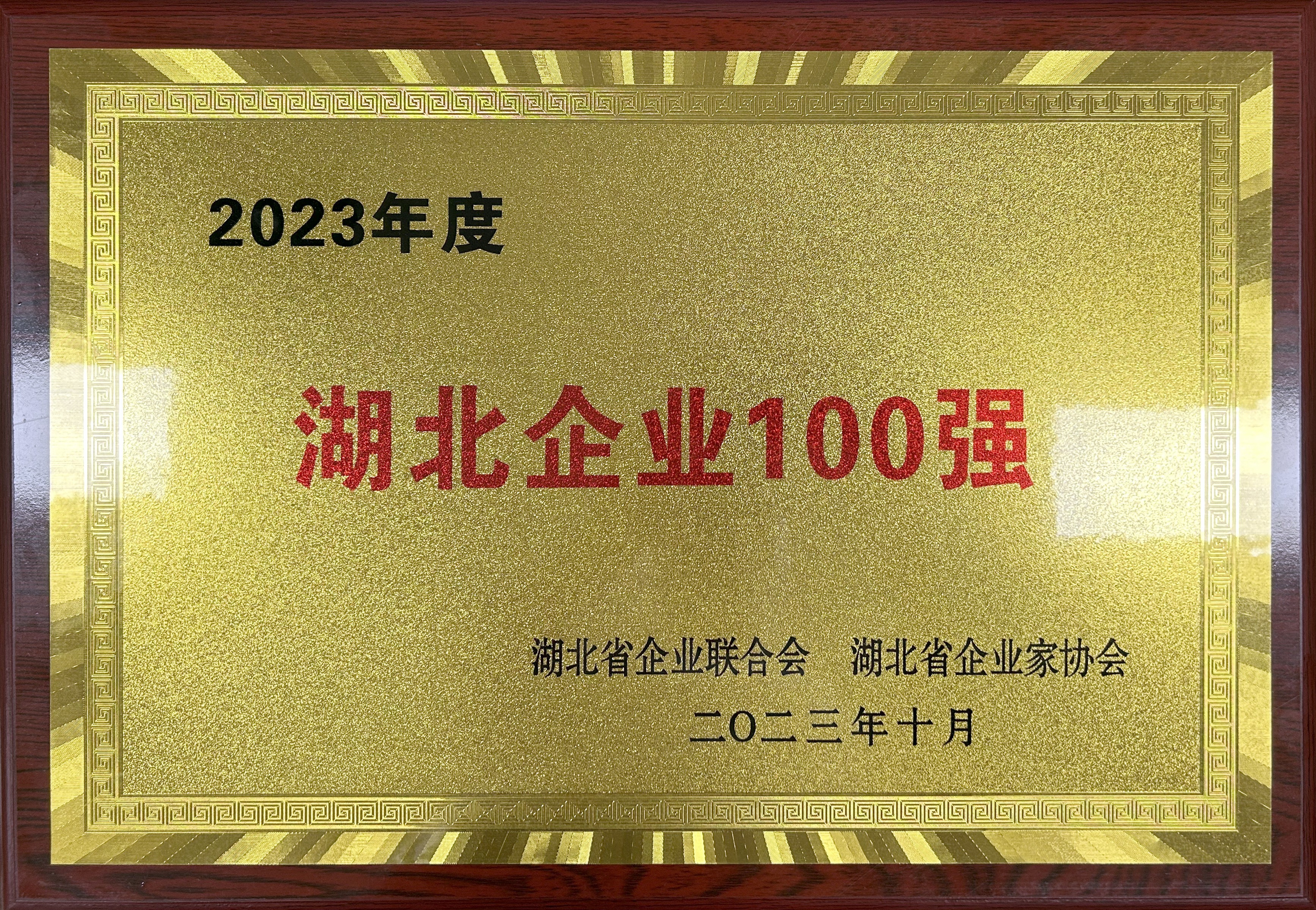 2023年度湖北企业100强